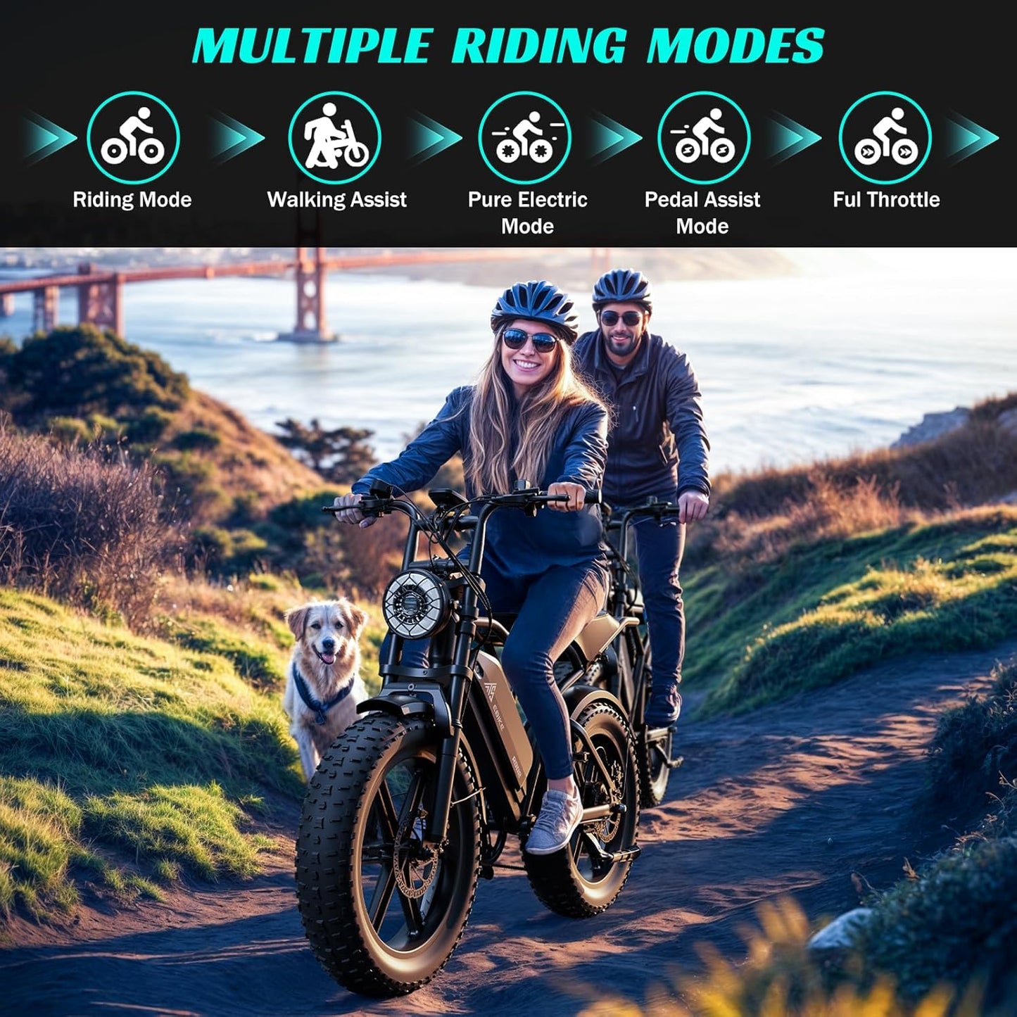 Electric Bike for Adults